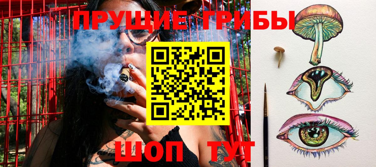 Псилоцибиновые грибы мицелий Павлово